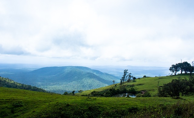 搏和坚持梦 搏和坚持梦