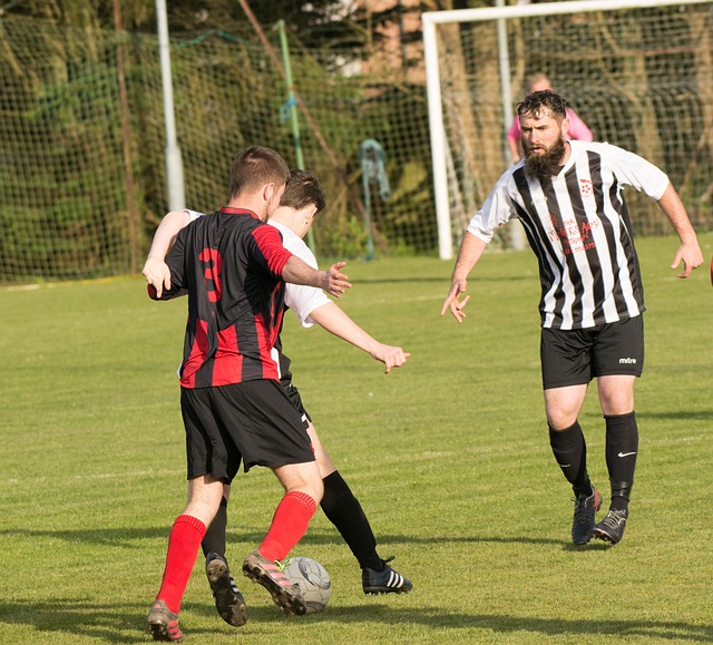 整个晚宴宛 整个晚宴宛