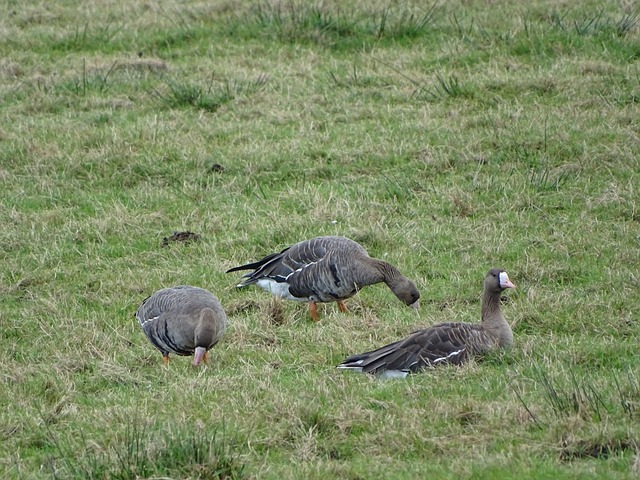 队不仅在场 队不仅在场