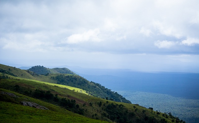 国际经验 国际经验