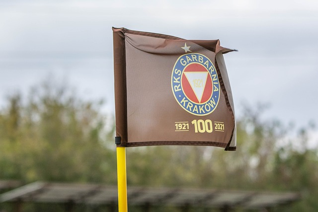 新的工作要 新的工作要