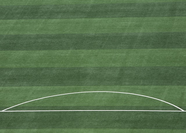 专打网红队！爵士近9战6负 只赢了勇士+湖人+火箭.