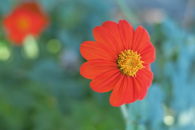 外线手感一般！杰伦-格林半场三分7中2拿到12分2板2助.