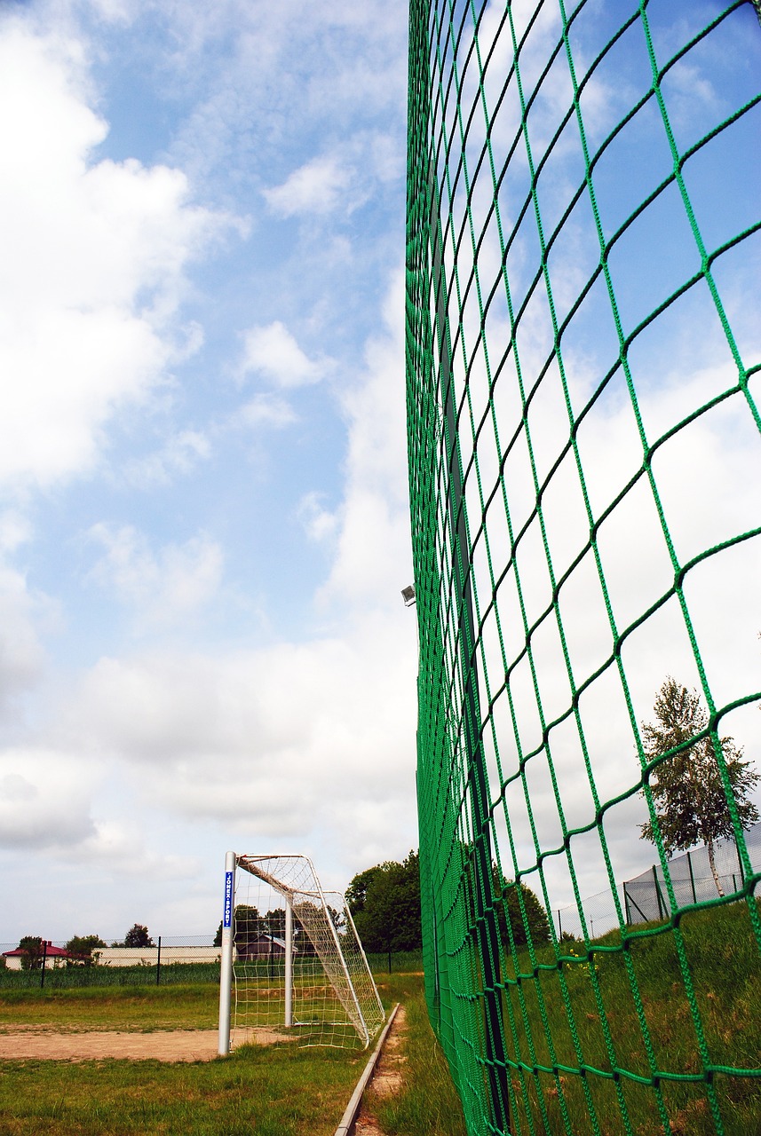 金元足球模 金元足球模