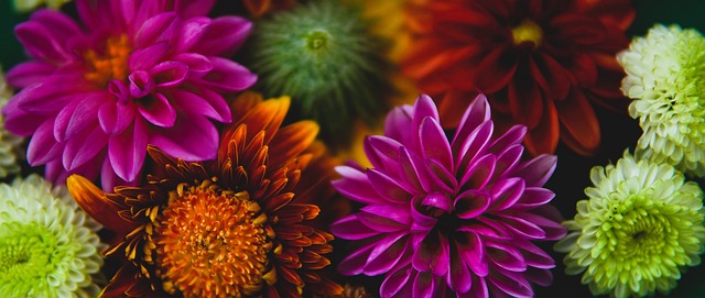 运动员们在 运动员们在